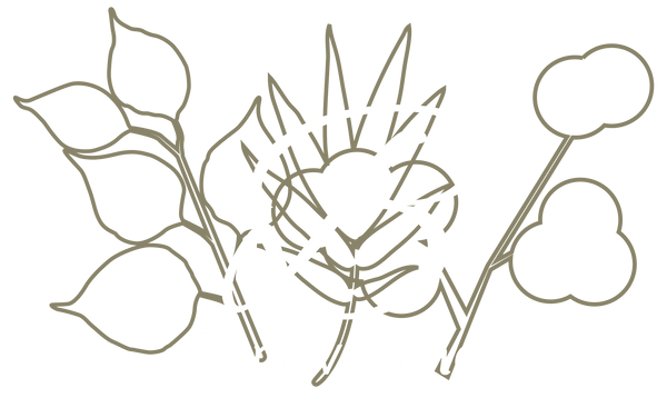 Benevolence Store